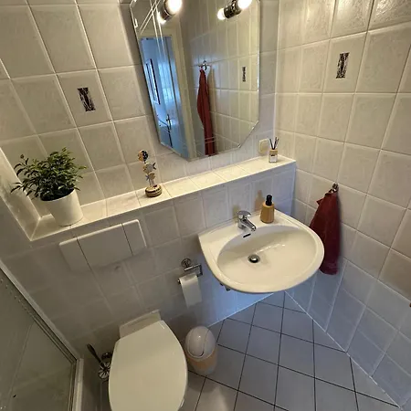 Moewennest Zempin